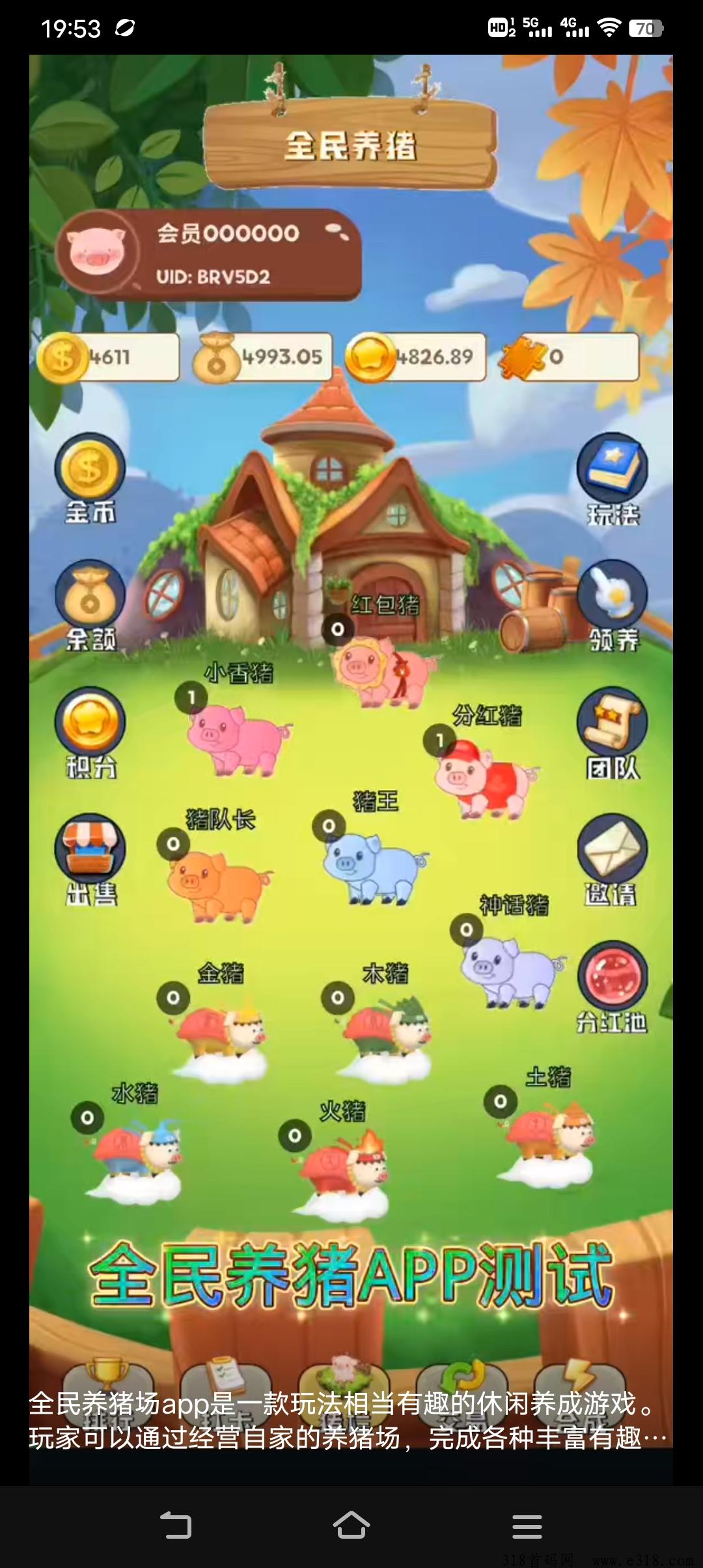 全民养猪全网预热，月底启航，副业首选