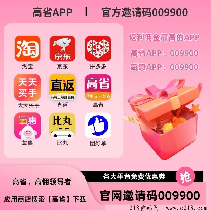 高省怎么赚钱推广？赚钱推广的秘诀揭秘！