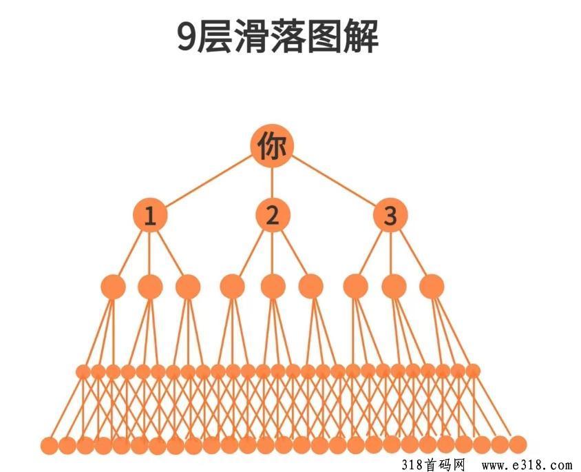首码乌龟对对碰，火爆出圈，正如同曾经的羊了个羊