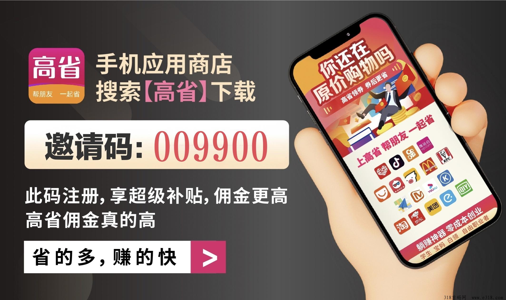 高省是什么？能赚钱吗？