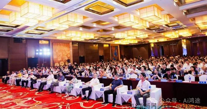 中万通，上市公司打造