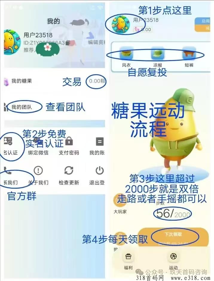 纯零撸糖果运动