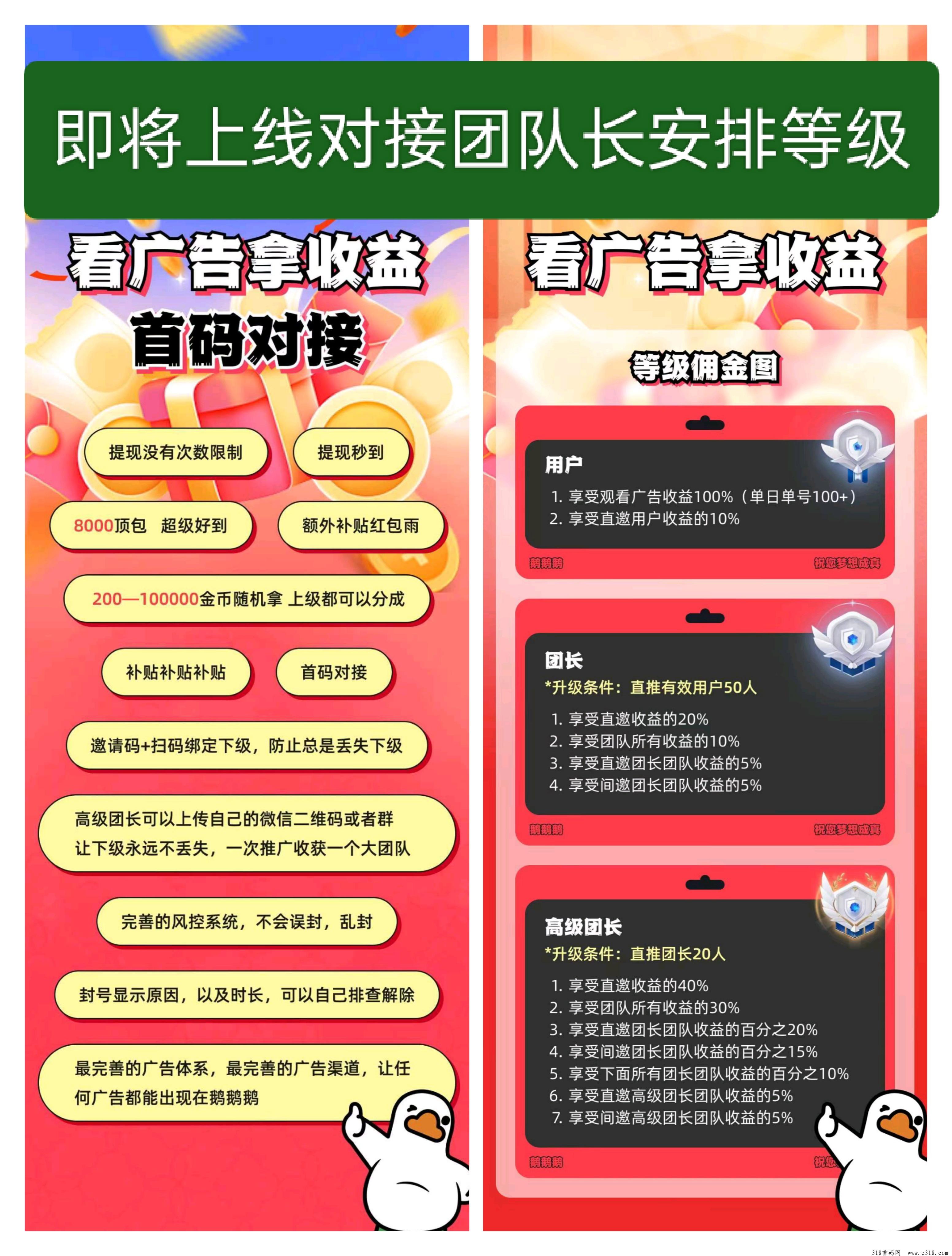 鹅鹅鹅，0撸对接团队长安排等级