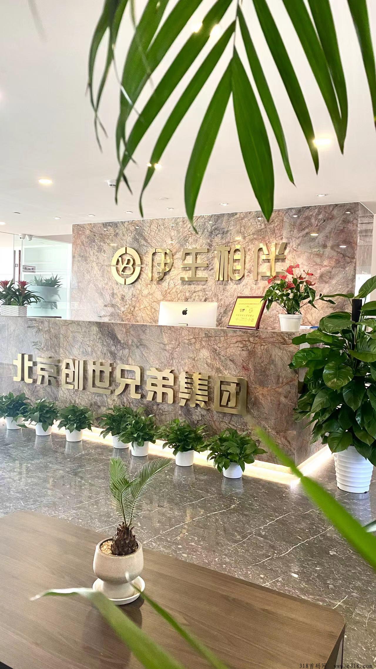 伊生相伴首码，创新模式，能赚大的平台