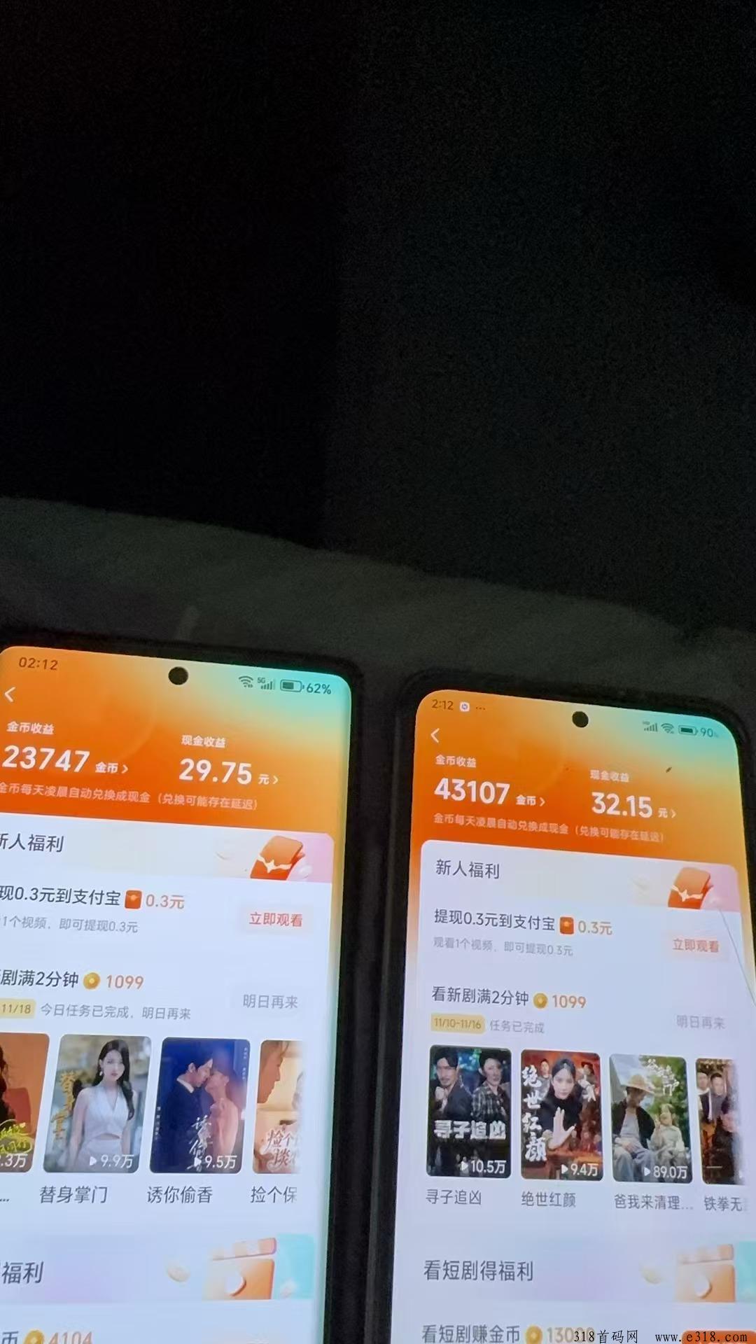 红果短剧项目