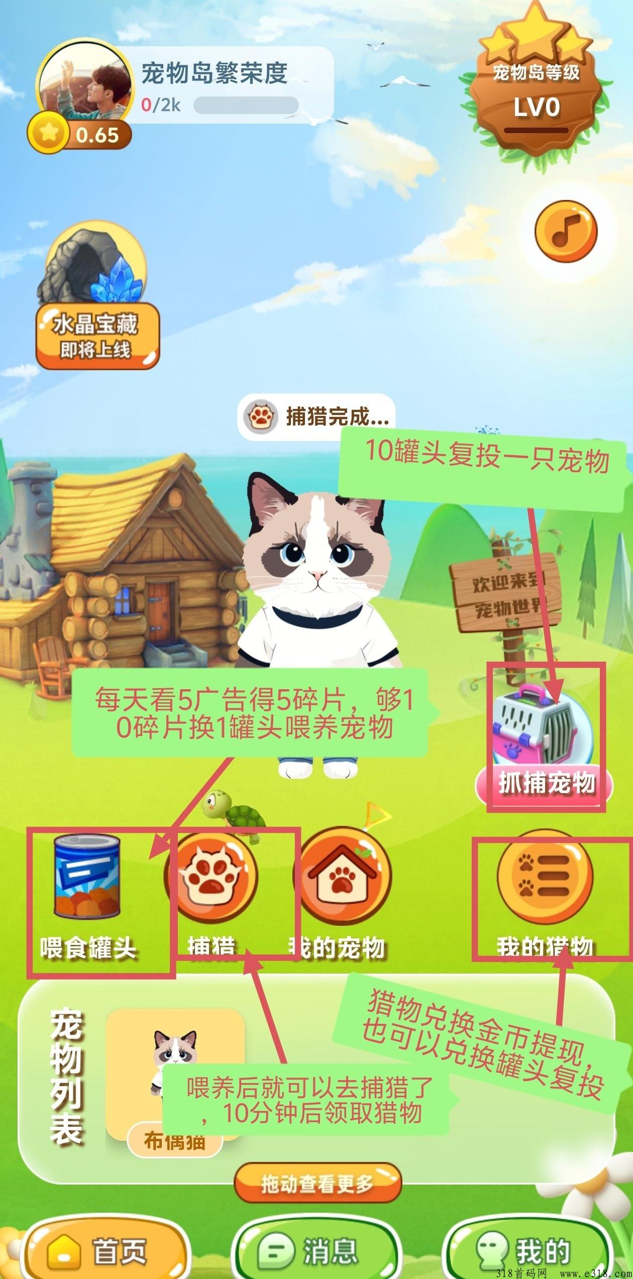 宠物世界，长久收益，每天赚