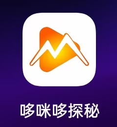 哆咪哆探秘APP横空出世！零撸项目，稳定秒提