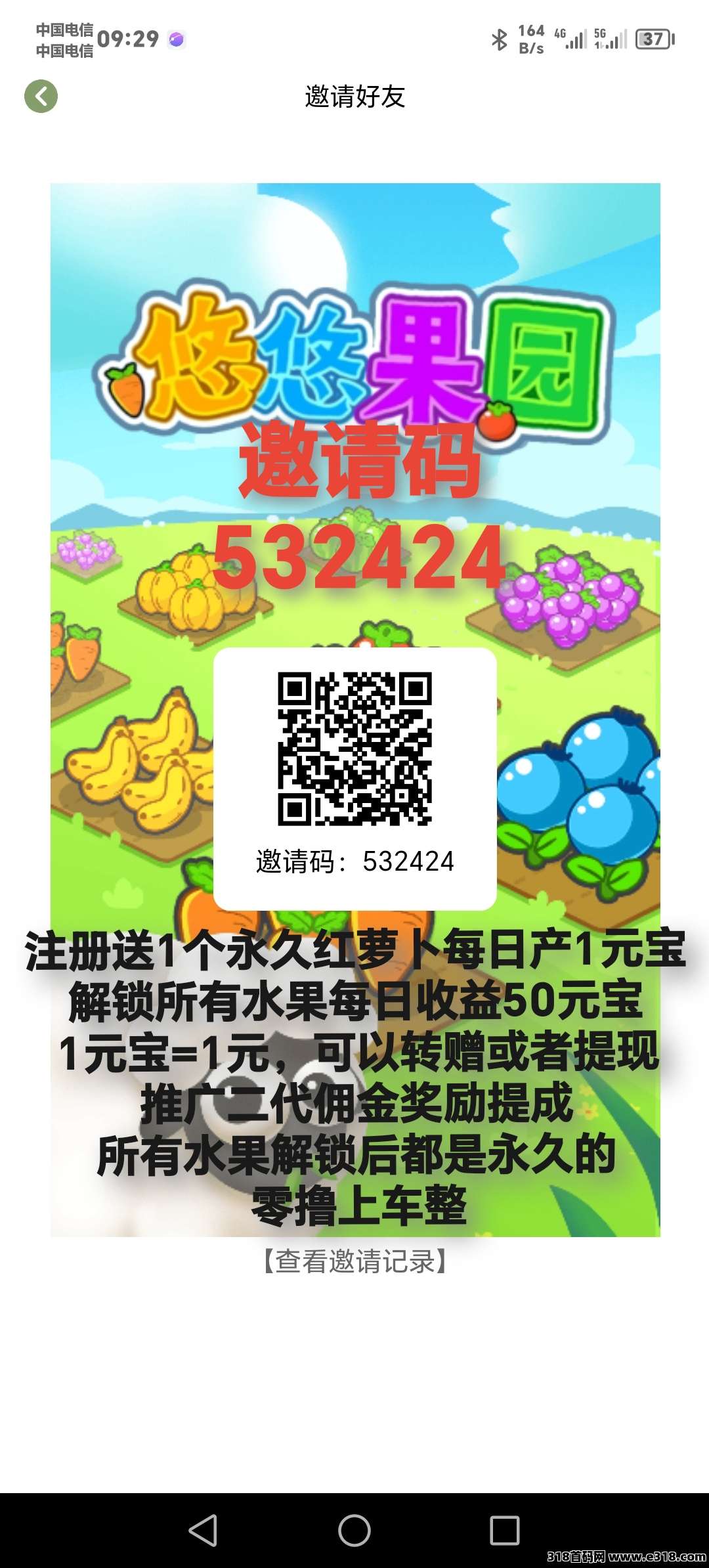首码悠悠果园，最新分红项目，零撸就完事