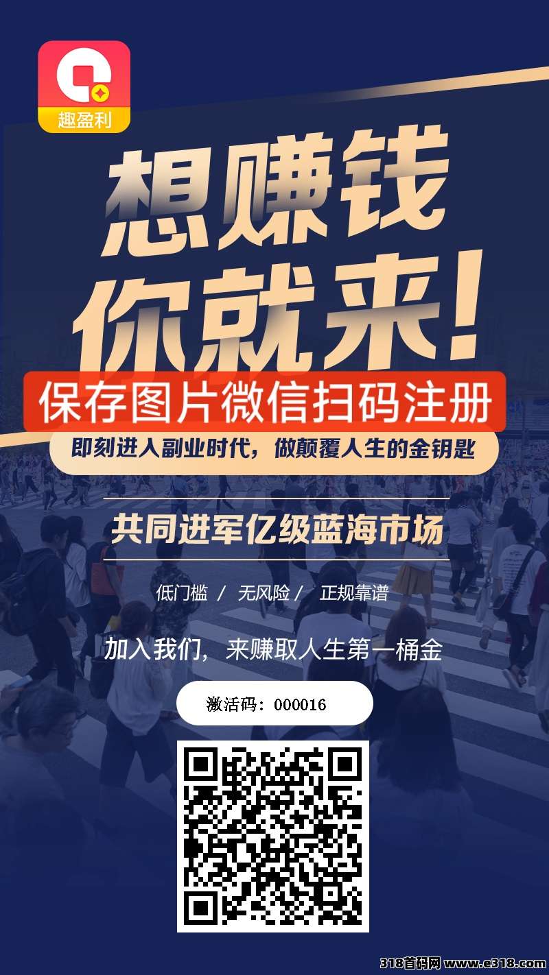 趣盈利首码项目制度分析，团队收益如何分配的，平台制度介绍