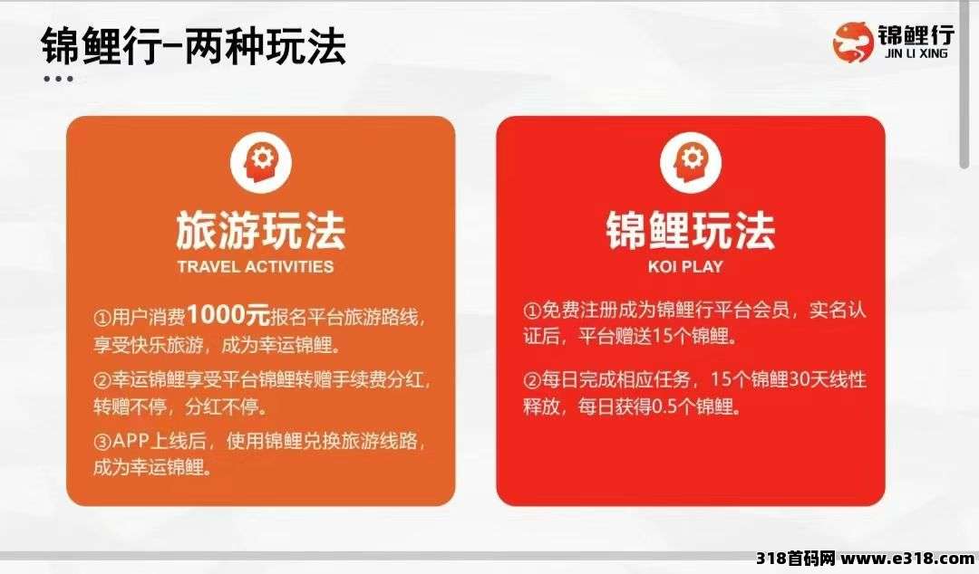 锦鲤行新出首码，线下旅游托底