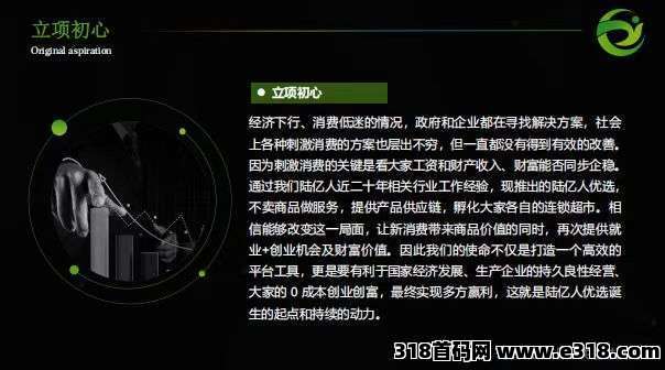 陆亿人优选超市平台，2025正规火爆项目