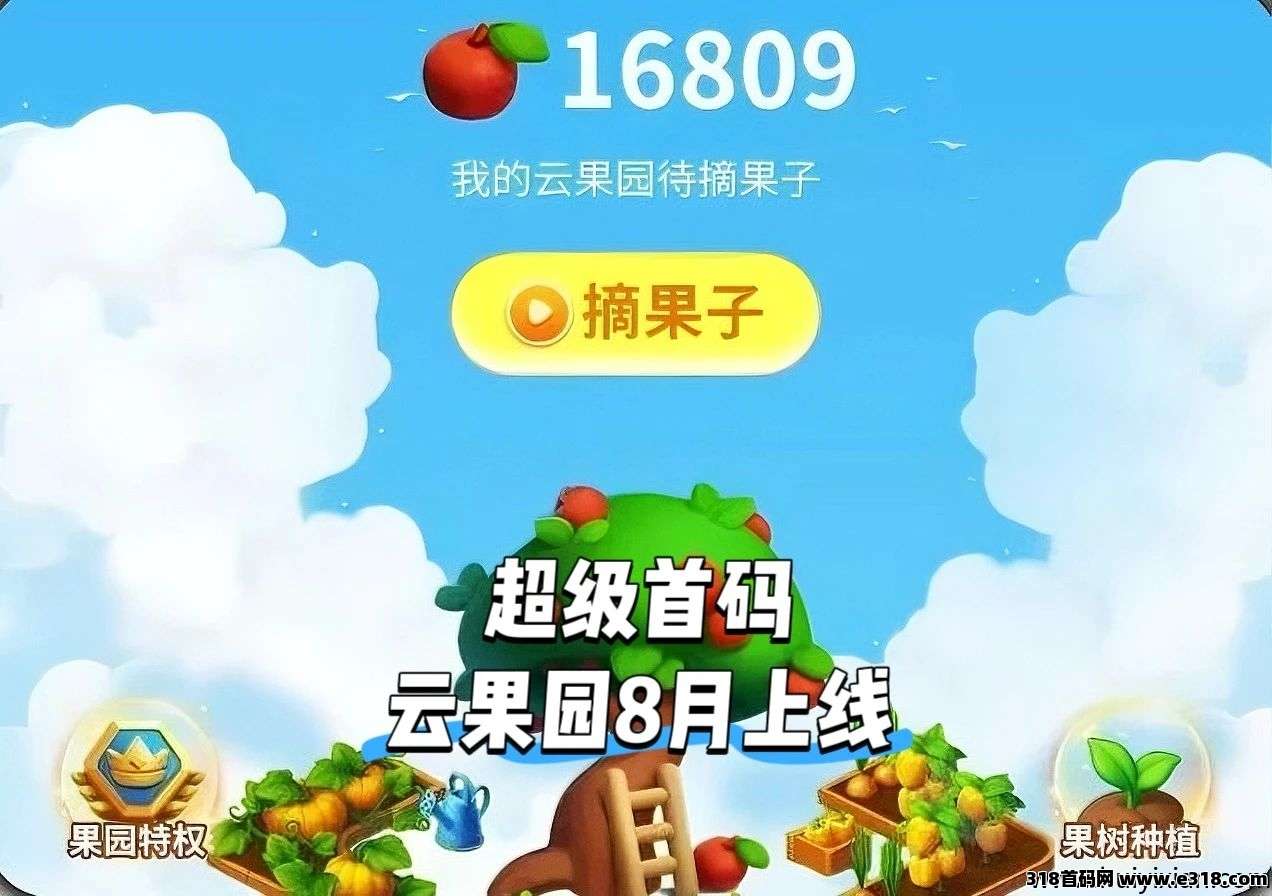 29c5d4d61920250805023530