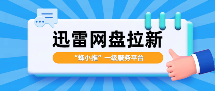 蜂小推，迅雷网盘拉新，简单易上手
