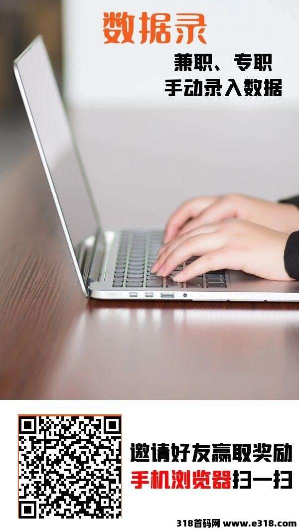 数据录，每天录入赚钱