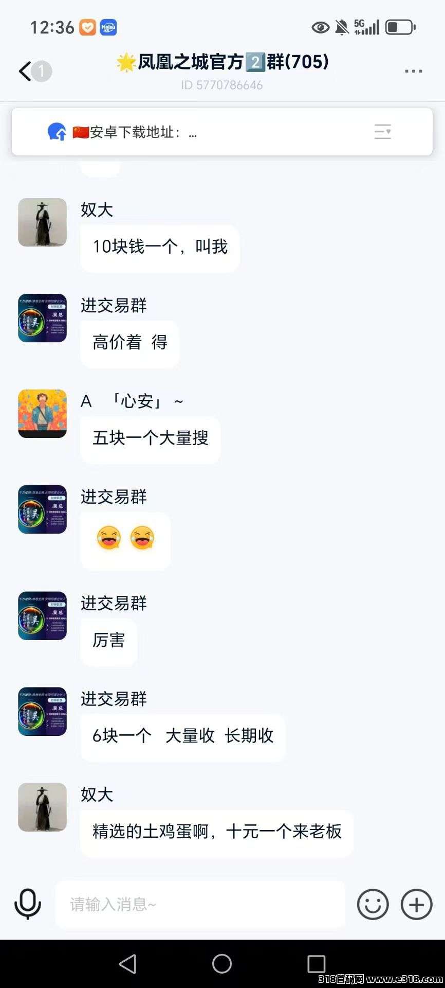 凤凰之城，纯零撸项目，扶持拉满