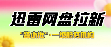 蜂小推，抓住零散时间，迅雷网盘拉新轻松拓收入