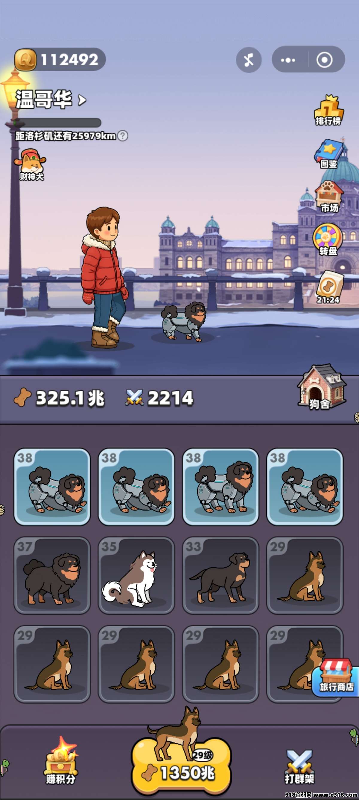 旅行世界第一波战斗犬已出炉！