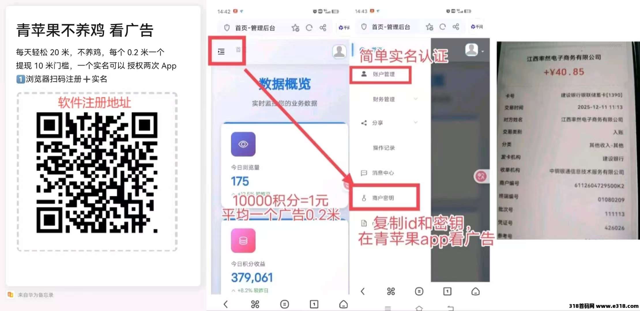 青苹果看广告赚米，每天到账稳定收益，代理赚更多，橡木最强推荐