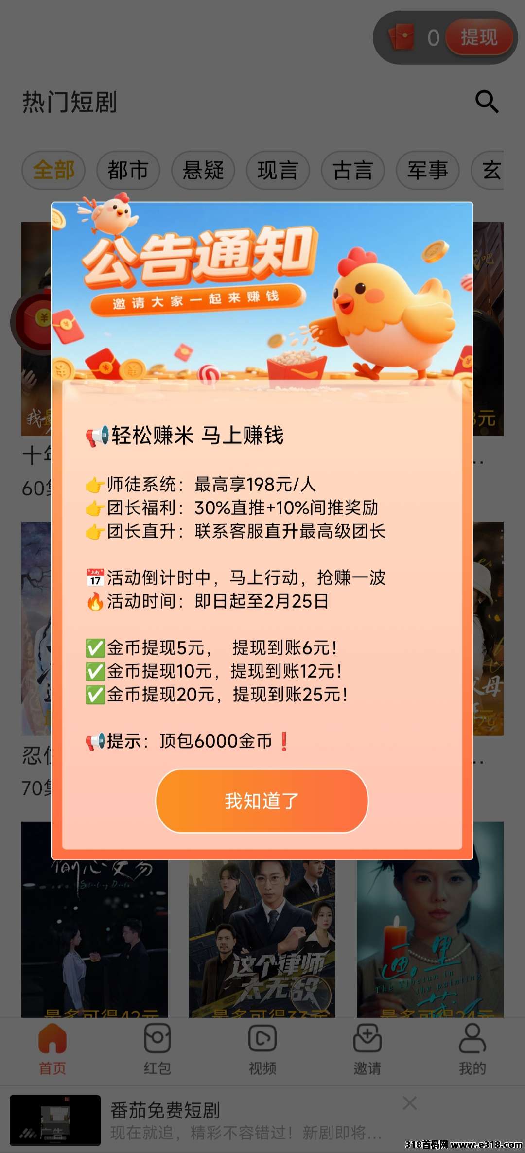 首码新台子小鸡琢米