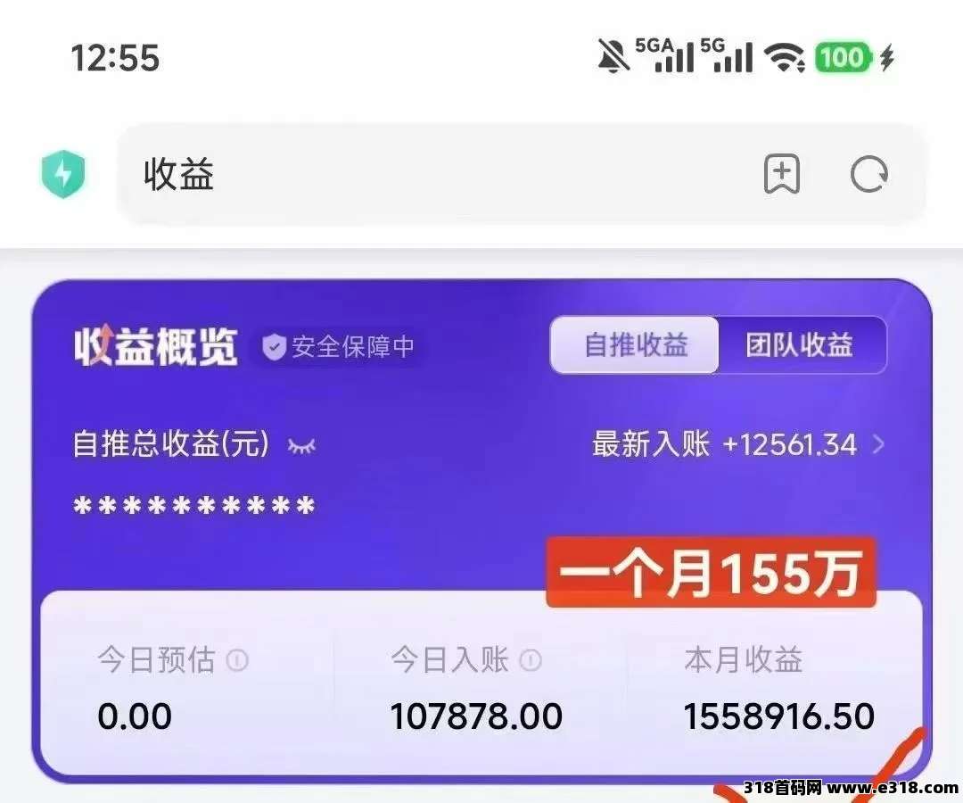 神图，2026最牛项目，免费撸非常暴力，来钱最快的，免费教，包搞会