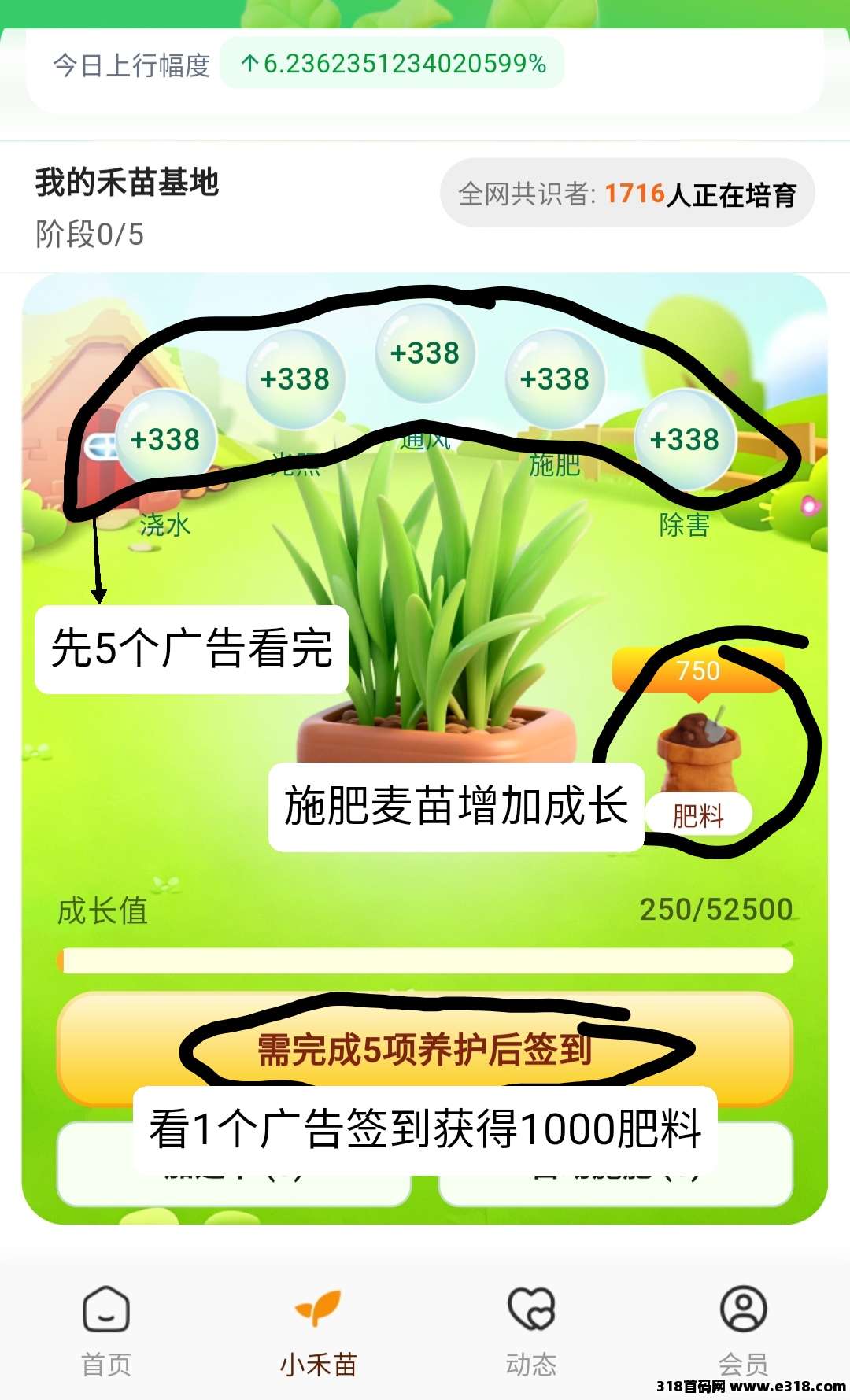 零撸蝉书优选，圈圈模式，蛋蛋星球三台，五大收益来源