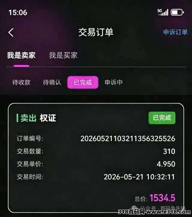 Ai芯漫：跨年大盘震撼来袭，模式创新+强大团队，随进随模式