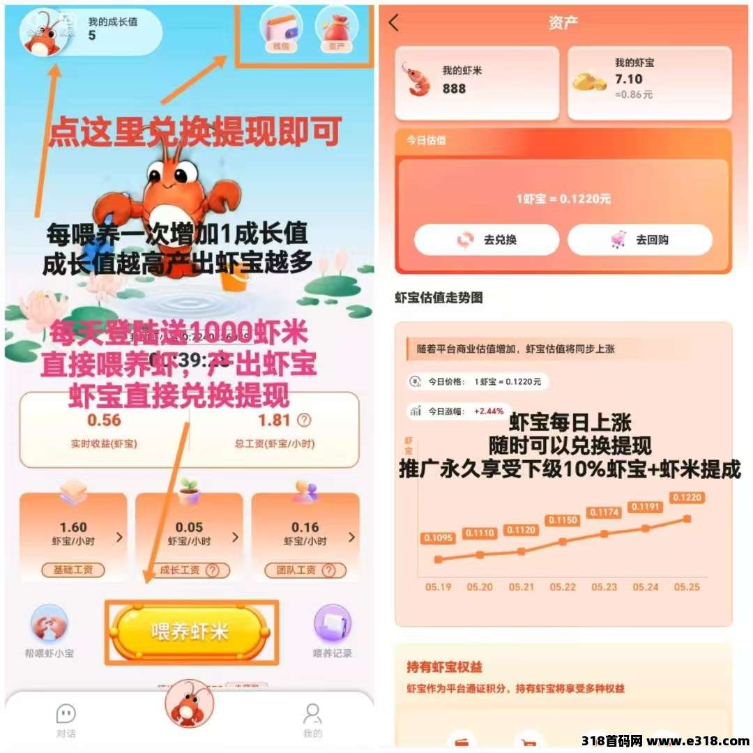 全民养虾零撸新项目，玩法简单，每天喂养增加芬虹团队收溢高