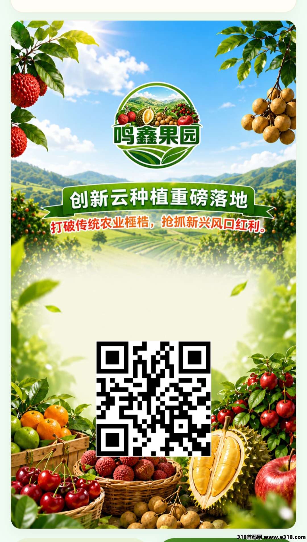 鸣鑫果园今天首码上线，注册福利注册赠送杨梅树