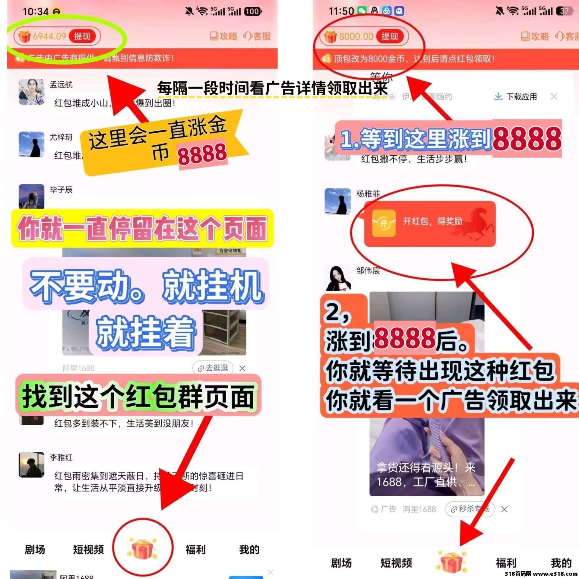 （粉宝众望）重磅上线首码