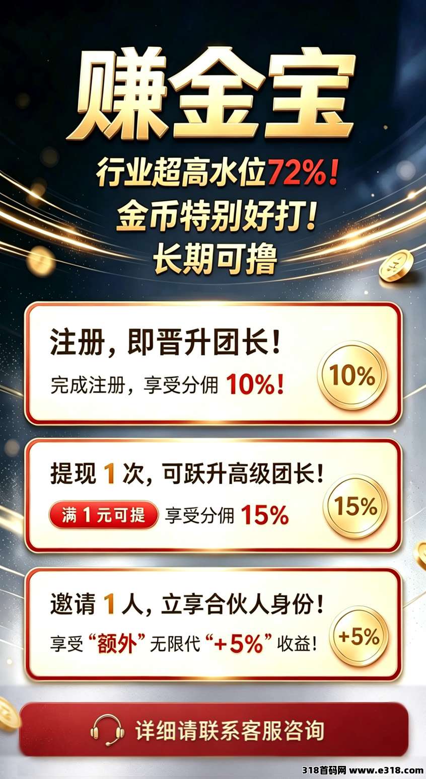 赚金宝，超高水位新玩法项目