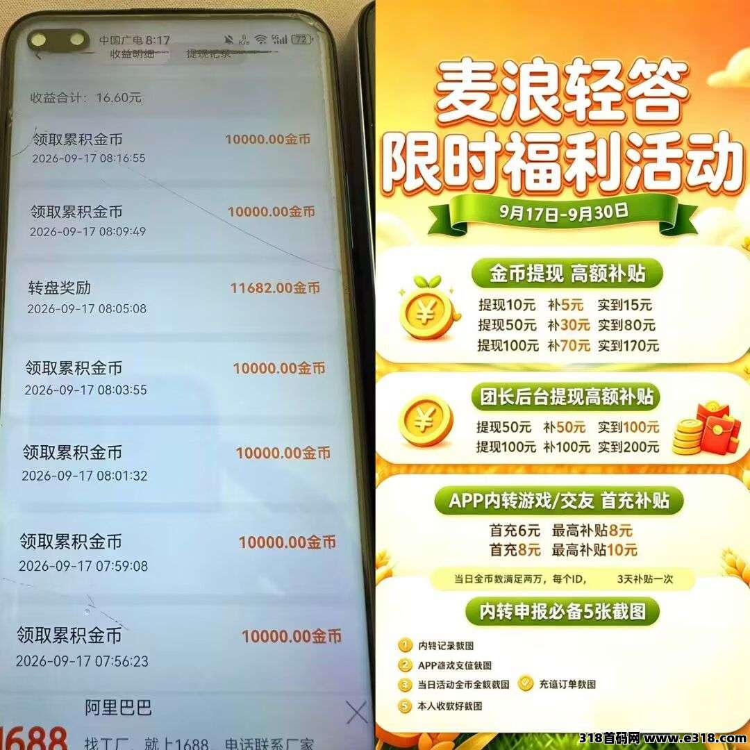 （麦浪轻答）大水台子，顶包收益